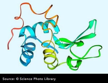 Syngene introduces a new platform for rapid protein synthesis